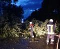 Bild: exb/Feuerwehr Nabburg
Die Feuerwehr Nabburg räumte beispielsweise auf der Straße zwischen Perschen und Pfreimd (Bild) mehrere umgestürzte Bäume aus dem Weg.