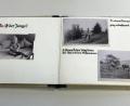 Bild: eig
Die Reproduktion des Fotoalbums eines SS-Mannes, der hier den Spaziergang mit seinem Sohn dokumentiert.