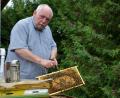 Bild: Sonja Kaute
Reinhold Ziegler (58) aus Kirchenthumbach, Kreisvorsitzender des Landesverbands Bayerischer Imker für den Landkreis Neustadt/WN und die Stadt Weiden, betreibt heuer seit 30 Jahren Imkerei. Die Bienen hat er damals von seinem Vater geerbt, dem er zuvor schon 25 Jahre lang bei der Arbeit mit den Bienen half.