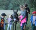 Bild: kmo
Auf dem Erlebnisgartenbaubetrieb der Familie Pirner in Hackern bei Illschwang dürfen die Besucher auch selbst Hand anlegen - beim Striegeln und auch beim Wandern.