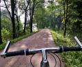 Bild: phol
Wer auf dem Fünf-Flüsse-Radweg von Amberg nach Regensburg fährt, bekommt viel Grün zu sehen.