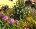 Bild: trj
Der wunderschöne Bauerngarten der Familie Kahl.