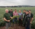 Bild: phol
Josef Rauch (links) präsentiert eine Sojapflanze samt Wurzel. Zusammen mit Wolfgang Wittmann (Landwirtschaftsamt Amberg, Dritter von links) und Harald Pilhofer (Maschinenring Amberg-Sulzbach, Zweiter von rechts) macht er sich für den Anbau von Soja stark.