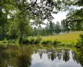 Bild: Gemeinde Bad Alexandersbad/exb
Das Moor- und Mineralheilbad Bad Alexandersbad ist aufgrund seiner Lagegunst umgeben von Wäldern und Wiesen prädestiniert für Gesundheitsangebote in der Natur.
