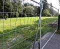 Bild: Petra Hartl
Endstation Bauzaun. Eine mitten auf einen Feld-, Fuß- und Wanderweg gebaute Doppelgarage veranlasste Spaziergänger in dem Schnaittebacher Ortsteil Haidhof, sich einen Umweg zu suchen. Jetzt wurden auch hier neue Fakten geschaffen.