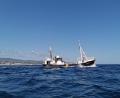 Bild: Johannes Filous/seacoverage
Die "Eleonore" mit rund 100 Flüchtlingen an Bord sucht weiter einen sicheren Hafen.