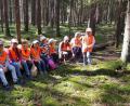 Bild: fjo
Auf einem Baumstamm aufgereiht fühlt sich die ganze Meute tief drin im Hochwald pudelwohl