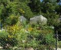 Bild: hka
Üppiges Grün, Blumen, Gewächshäuser und Lauben - eine intakte Natur in der Kleingartenanlage am Annabergweg