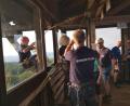 Bild: eib
Nicole Schafbauer lässt sich bestens gesichert von der Bergwacht Schönseer Land vom Böhmerwaldturm abseilen.