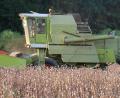 Bild: bsc
Mit einem handelsüblichen Mähdrescher läuft die Mohnernte rund um den Steinwald. Jedoch mussten vorab an der Technik geschraubt und zusätzliche Teile in das Erntefahrzeug eingebaut werden.