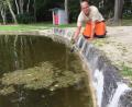 Bild: fph
Täglich fischen Bauhofleiter und Bademeister Markus Kremser (Bild) und seine Helfer Berge von Gräsern aus dem Wasser.