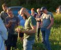 Bild: B. Ströll
Naturlandberater Konrad Maier hat auf dem Umstellungsacker eine Lupinen-Pflanze ausgegraben und diskutiert mit Landwirten die Entwicklung des Wurzelsystems und der stickstoffsammelnden Knöllchenbakterien an der Lupinenwurzel.