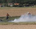 Bild: rw
Die stromführende Leitung setzte ein kleines Stück Wiese bei Reuth bei Erbendorf in Brand.