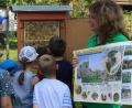 Bild: stn
Die Kinder gewinnen interessante Einblick in das Leben im Bienenstock.