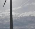 Bild: ws
Die Windräder nahe Ellenfeld sollten sich in einem "Rotmilan-Hotspot" drehen, hat ein Gutachter im April festgestellt. Untersuchungen der Windparkbetreiber zusammen mit dem Landratsamt haben ergeben, dass keiner der Horste besetzt war.