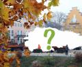 Bild: Wolfgang Steinbacher
Wie werden sie wohl aussehen, die Amberger Weihnachtsbäume? Die Stadt macht sich schon jetzt auf die Suche.