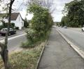 Bild: Gabi Schönberger
Obwohl von Häusern umgeben, gilt das Grundstück des ehemaligen Bauernhofes am Ende der Vohenstraußer Straße (links neben der bunten Fahrzeughalle) als Außenbereich und soll nicht bebaut werden.