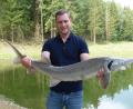 Bild: cv
Michael Dobler züchtet Störe. Für die "gewichtigen" Fische in den Nabburger Teichen braucht man starke Arme.