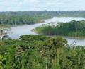 Bild: Rainer Putz/Regenwald-Institut
Der Regenwald im Amazonasgebiet leistet einen wichtigen Beitrag zur Stabilisierung des Klimas.