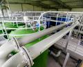 Bild: Hösamer
Das Herzstück des Wasserwerks: In den blauen Behältern wird Eisen und Mangan aus dem Rohwasser gefiltert, in den grünen Behältern das Wasser mit Kalk angereichert.