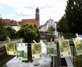 Bild: Petra Hartl
100-Euro-Scheine flattern im Wind über der Vils. Doch in Amberg gibt es nicht so viele Einkommensmillionäre wie beispielsweise in Weiden und auch im Landkreis haben nicht so viele Spitzenverdiener so viel Geld, dass sie es auf die Wäscheleine nach draußen hängen müssten.