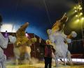 Bild: pmen
Trotz der Querelen im Vorfeld hieß es in Vohenstrauß und Kemnath für den Circus Afrika „Manege frei“. Tierschützer kritisieren das Familienunternehmen vor allem wegen der Haltung seiner Elefanten, die nicht artgerecht sei. Auch für die Amberger Congress Marketing spielte die „schlechte Presse“ eine Rolle bei der Absage des gewünschten Gastspieltermins. Die ablehnende Entscheidung wurde zwar vom Verwaltungsgericht kassiert, der Zirkus kam dann aber trotzdem nicht auf den Dultplatz.