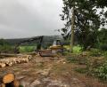 Bild: lpr
Mit Harvester und Motorsäge ist der durch Schädlinge geschwächten Fichtenbestand beseitigt worden.