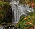 Bild: tr
Der Muglwasserfall bei Altmugl ist eines von 100 Natur-Highlights bei denen man sich an Ort und Stelle per QR-Code, der sich auf einer entsprechenden Stele befindet Informationen über den Internetbrowser holen kann.