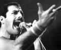 Bild: dpa
Der Leadsänger der britischen Rockgruppe "Queen", Freddie Mercury, bei einem Auftritt im September 1984.