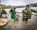 Bild: Tourismuszentrum Oberpfalz
Ende September beginnt die Karpfensaison und damit das Abfischen der Teiche.