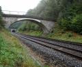 Bild: bkr
Blick zum Portal des Armannsberg-Tunnels in Fahrtrichtung Neusorg: Um die Strecke fit für die Elektrifizierung zu machen, favorisiert die Deutsche Bahn derzeit zwei Varianten: eine Aufweitung der bestehenden Röhre oder eine weitere, die rechts von den Schienen durchs Gestein getrieben werden würde.