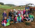 Bild: gru
Die Kinder auf dem Feld beim Erdäpfel suchen und ernten.
