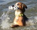 Bild: Kunz
Jeder schwimmt auf seine Weise.