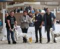 Bild: exb
Thomas Höppner (links) mit dem Rüden „Dante“, dem besten Dalmatiner der Ausstellung, und Michael Jetmar (rechts) mit „Alhena Moonlight Surprise“, der tagesbesten Hündin bzw. dem zweitbesten Dalmatiner des Tages, gemeinsam mit Richterin Isolde Huber und Sonderleiter Johann Heindl.