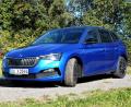 Bild: bz
Skoda Scala Style.