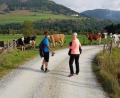 Bild: exb/Fotostudio Kraus
Die Urlaubsregion des Salzburger Lungau bildete die landschaftliche Kulisse der 17. Wander-Weltmeisterschaft. Für die Teilnehmer aus Oberviechtach - hier Anneliese Kraus (links) und Alexandra Wild - warteten auch tierische Begegnungen auf den Strecken.