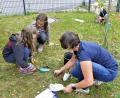 Bild: wbe
Über hundert kleine Zwiebeln von Winterlingen, Schneeglöckchen, Krokussen und Wildtulpen wurden mit Unterstützung von Karin Haar vom Bienenzuchtverein Sulzbach-Rosenberg rund um die Bienenstöcke im Schulgarten gepflanz.