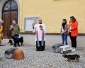 Bild: es
Pfarrer Wilhelm Bauer (Mitte) segnet die Tiere.