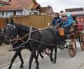 Bild: ak
Etwas für die ganze Familie waren die Kutschenfahrten beim Tag des Pferdes in Immenreuth.