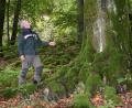Bild: jak
Andreas Hermer, Gebietsbeauftragter Natura 2000 beim Amt für Ernährung, Landwirtschaft und Forsten Weiden (Außenstelle Pressath), begutachtet einen mit Moos bewachsenen Baum am Rauhen Kulm. Der von Osten heraufführende Wanderweg führt durch einen alten Waldmeister-Buchenwald.