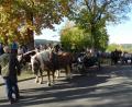 Bild: twg
Die Kutschen parken vor der Sankt Wendelinskirche.