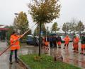 Bild: jzk
Harald Schlöger (links) zeigte den Bauhofmitarbeitern, was sie beim Gehölz- und Baumschnitt beachten müssen.