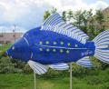 Bild: exb
Europakarpfen vor dem Fischhofpark in Tirschenreuth.