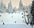 Bild: agentur_dpa/Harald Tittel
Skifahren - für viele das Highlight des Winters.