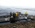 Bild: rn
Auf ruhige Wasseroberfläche, leere Fischwannen und hungrige Reiher blickten die Zuschauer beim Abfischen des Obersees.