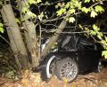 Bild: Christof Fröhlich
Neben der Fahrbahn krachte der Wagen gegen mehrere Baumstämme.
