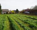 Bild: mmj
Wegen der abschüssigen landwirtschaftlichen Nutzflächen gibt es bei Starkregen für die Anrainer Probleme mit Wasser und Schlamm.