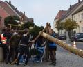 Bild: mh
Mit Muskelkraft wird der Baum in die Senkrechte befördert.