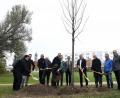 Bild: Petra Hartl
Schaufeln für den Baum des Jahres 2019: Mitglieder des Umweltausschusses „pflanzen“ ein Exemplar am Plättenanleger hinter dem ACC ein.
