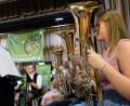 Bild: Picasa
Ob bei Soloeinlagen oder im Zusammenklang des gesamten Orchesters: Beste musikalische Unterhaltung war geboten.